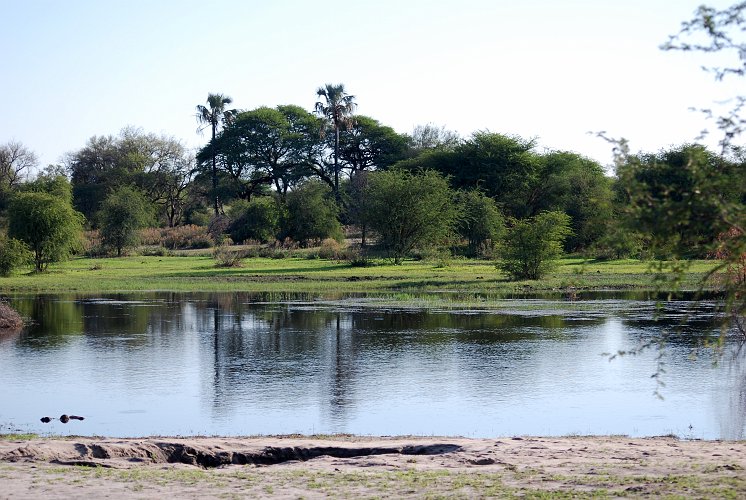 botswana 214.jpg
