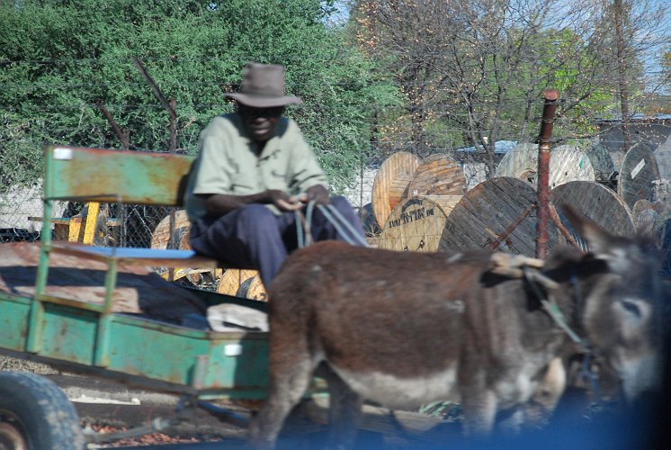 botswana 264.jpg