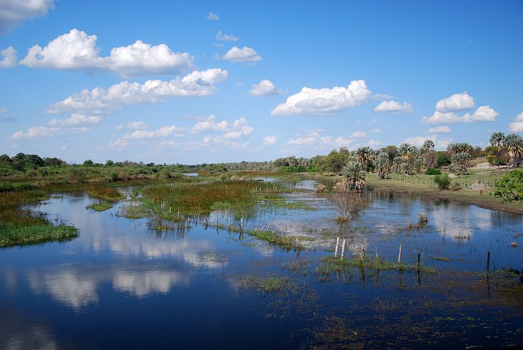 botswana 266.jpg