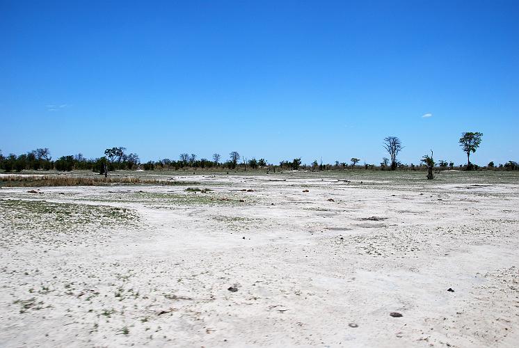 botswana 350.jpg