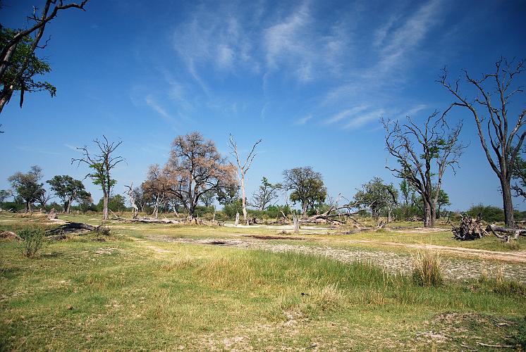 botswana 489.jpg