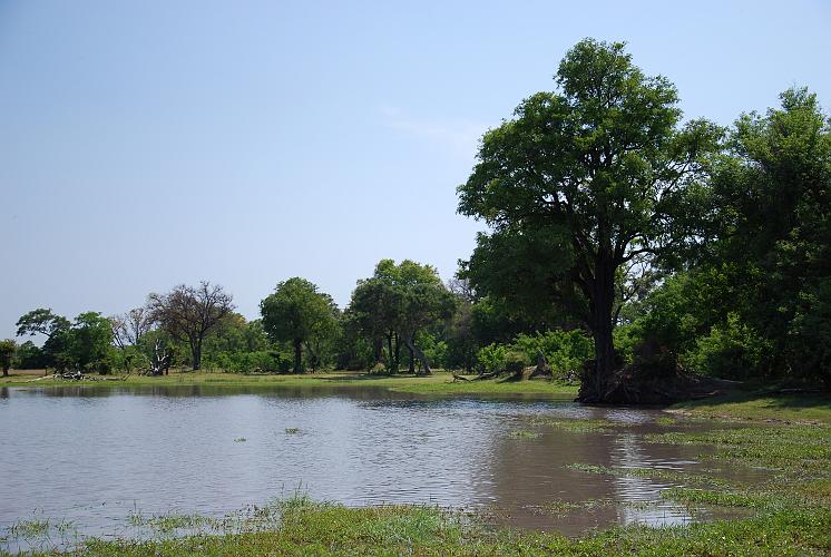 botswana 508.jpg