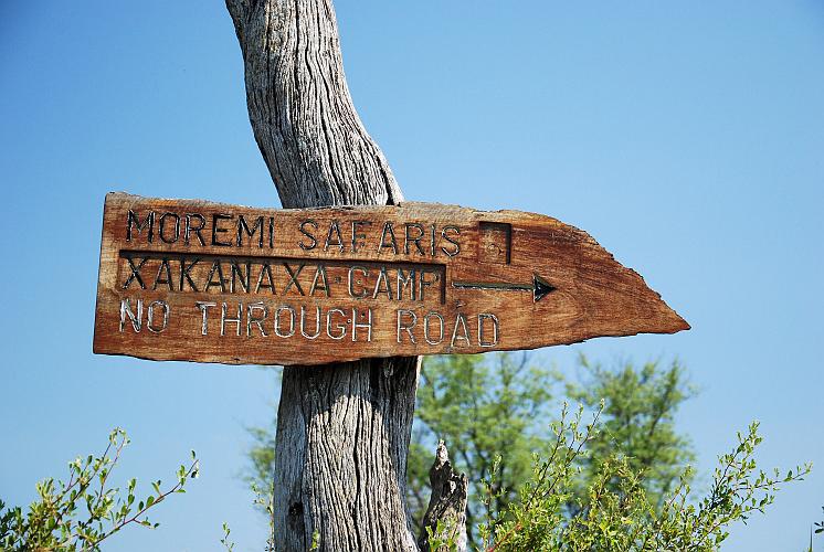 botswana 524.jpg