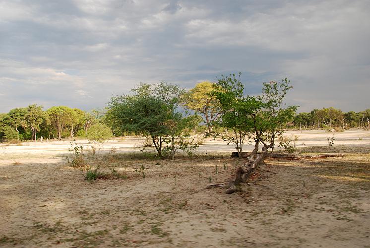 botswana 579.jpg