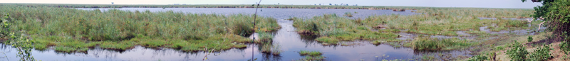 botswana 695_panorama.jpg