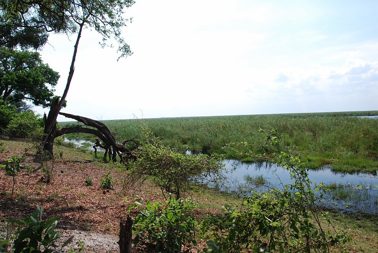botswana 700.jpg