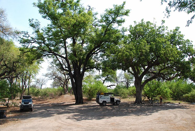 botswana 703.jpg