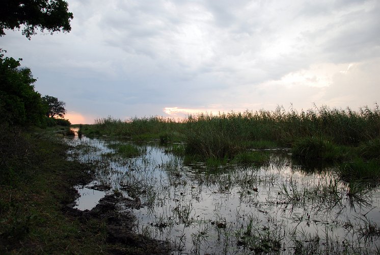 botswana 710.jpg