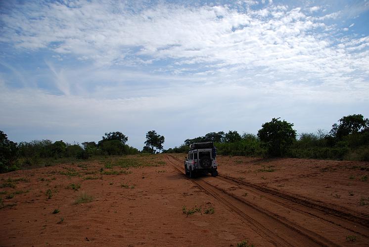 botswana 738.jpg