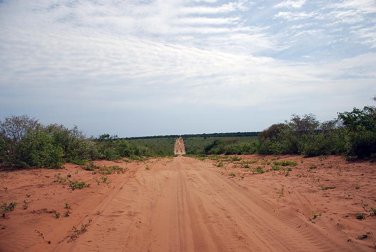 botswana 744.jpg