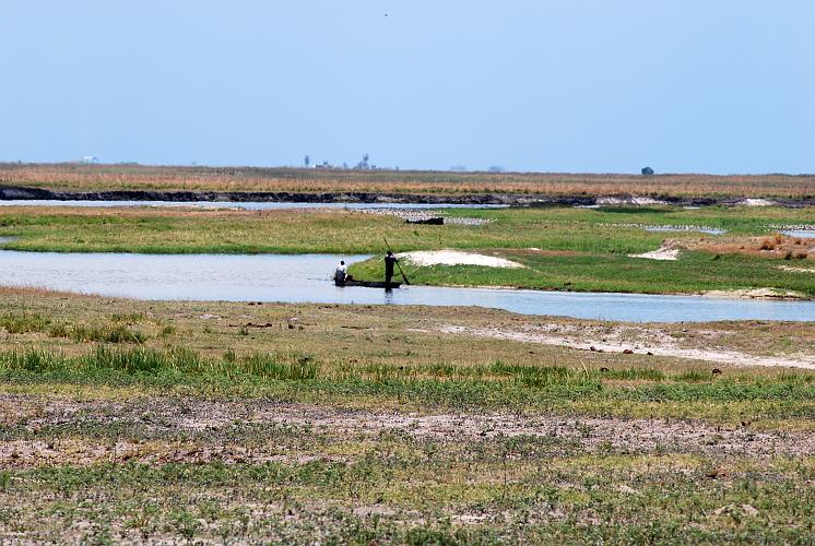 botswana 1090.jpg