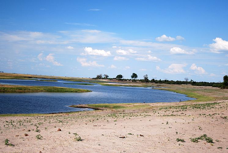 botswana 1273.jpg