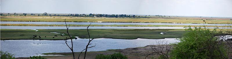 botswana 1457_panorama.jpg