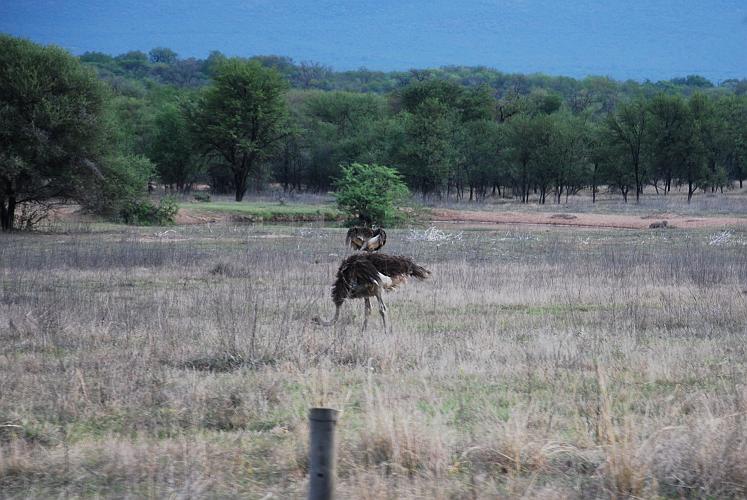botswana 024.jpg