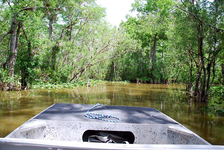 Florida - Billie Swamp Safari on the Big Cypress Seminole Indian Reservation