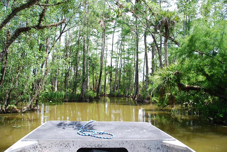 Florida - Billie Swamp Safari on the Big Cypress Seminole Indian Reservation