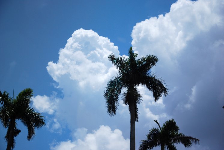Florida, in viaggio
