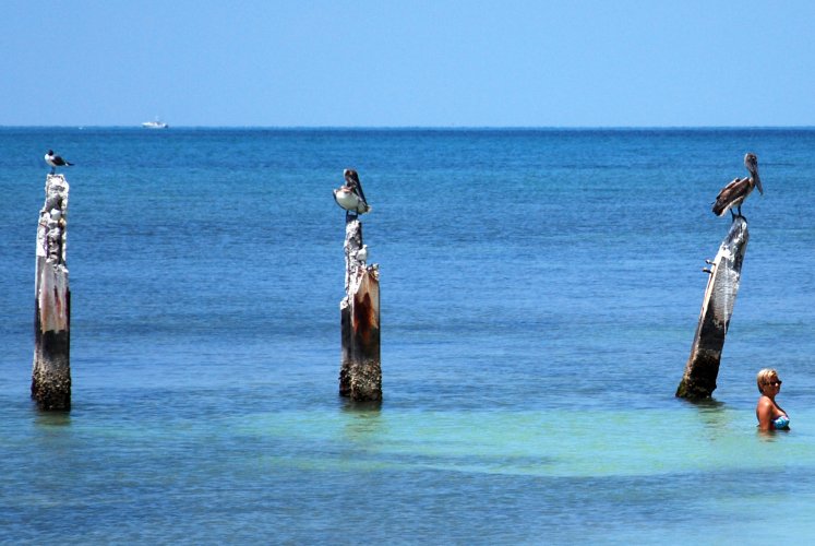 Florida, Key West, l'oceano