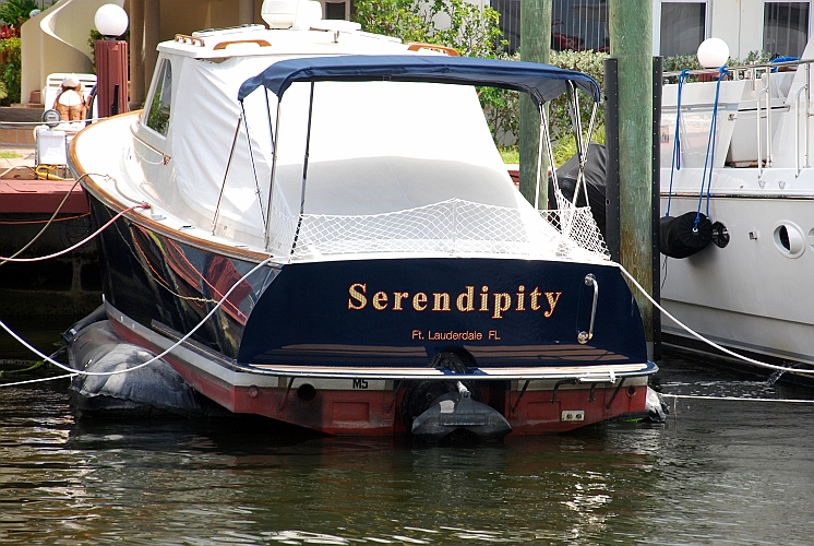 Serendipity