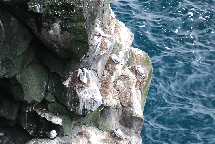 Islanda_20090814_0313.JPG