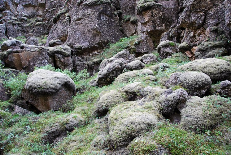 Islanda_pingvellir_0731.JPG