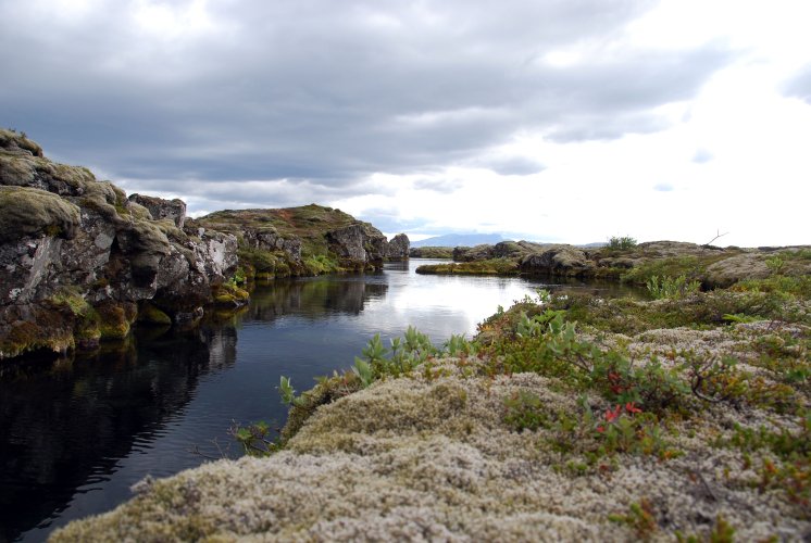Islanda_pingvellir_0775.JPG