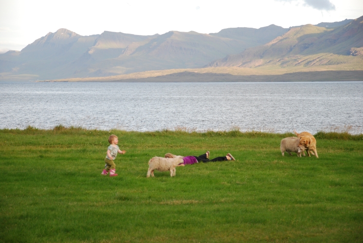 Islanda_20090807_1712.JPG