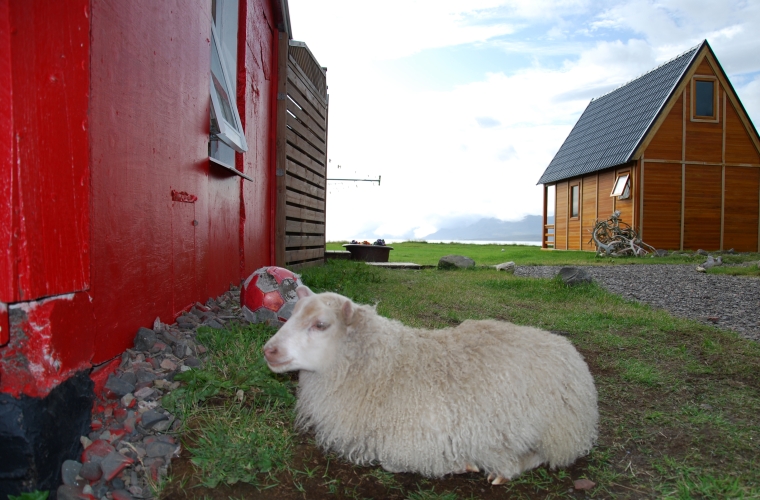 Islanda_20090808_1714.JPG