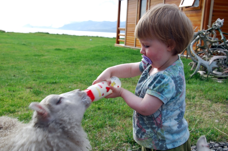 Islanda_20090808_1718.JPG
