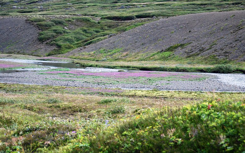 Islanda_20090808_1730.JPG